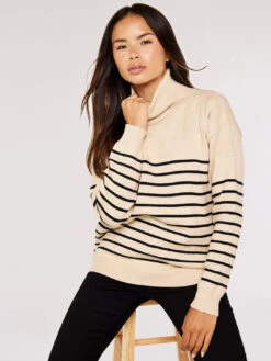 Striped Roll Neck Jumper