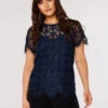 Guipure Scallop Lace Top